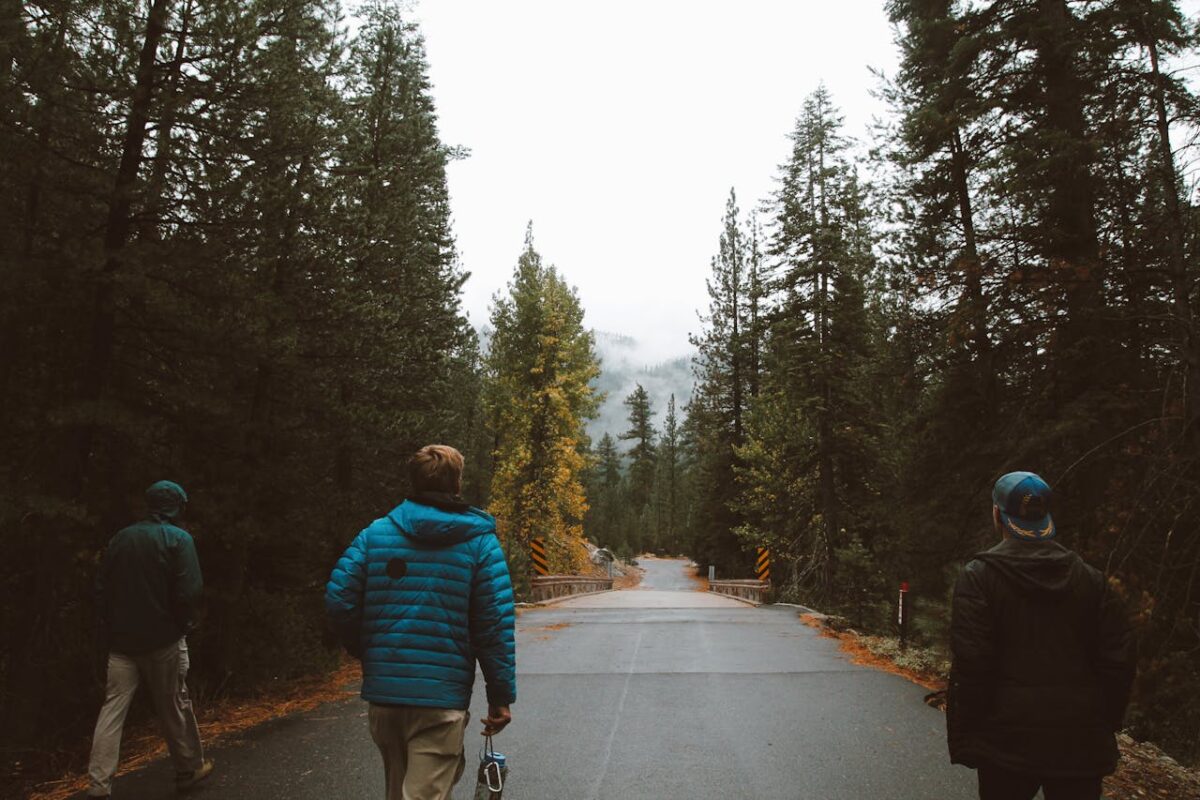 Three adults walking on a road surrounded by lush trees on a foggy day.